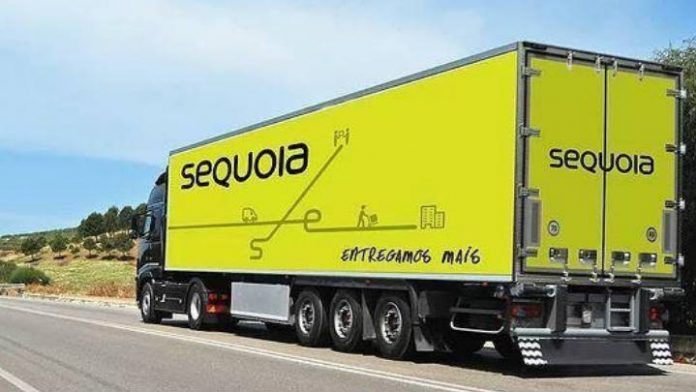 Sequoia tem prejuízo de R$ 3,7 milhões no 1º trimestre de 2021