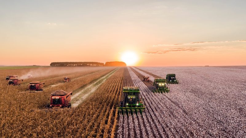 SLC Agrícola tem aprovação do Cade para aquisição da Terra Santa