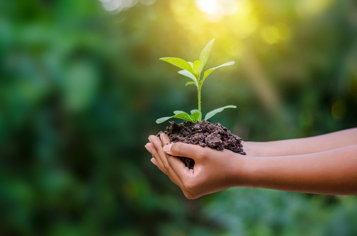 CVC vai investir R$ 3 milhões em sustentabilidade neste ano