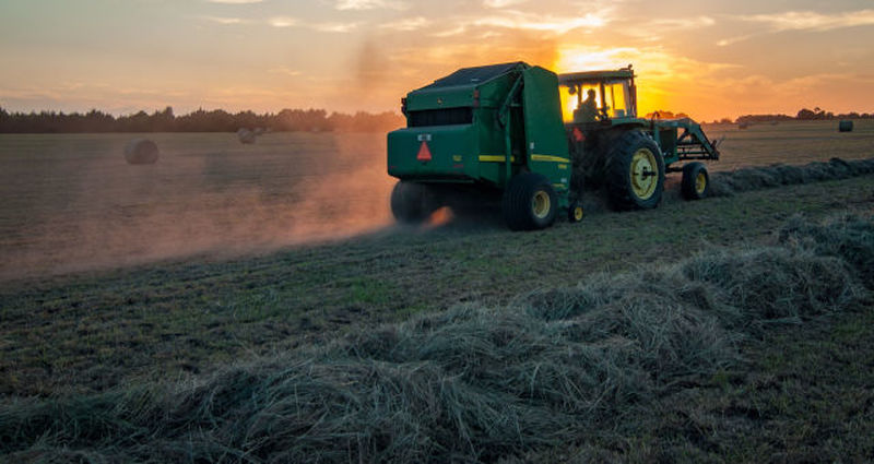 Fertilizantes Heringer reverte prejuízo e lucro vai a R$ 7 milhões no 3° trimestre
